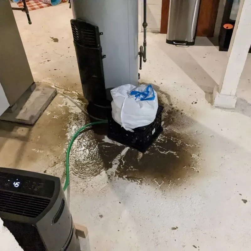 Sewage Backup Cleanup Service in Clay, AL